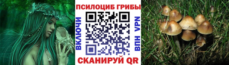 Псилоцибиновые грибы MAGIC MUSHROOMS  Зерноград 