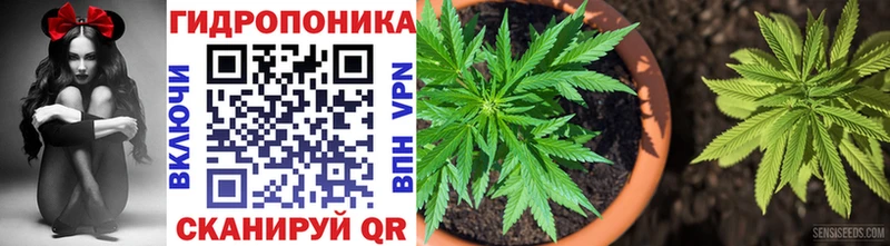 Бошки марихуана планчик  купить   Зерноград 